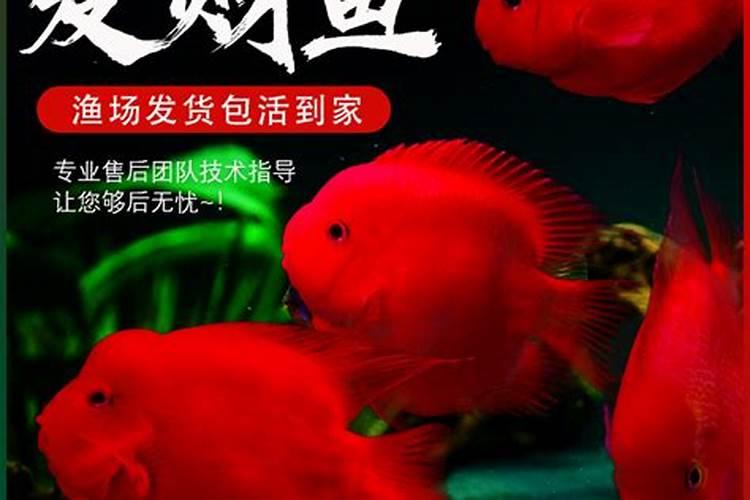 男人手相看财运 最易漏财的手相