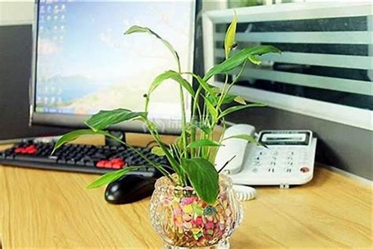卧室风水 主卧带阳台风水好不好