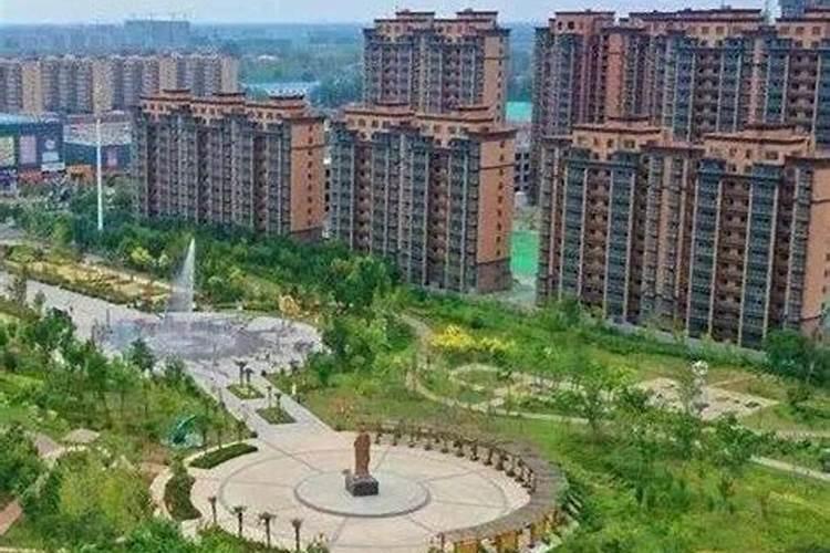 绣球花可以种在院子里吗