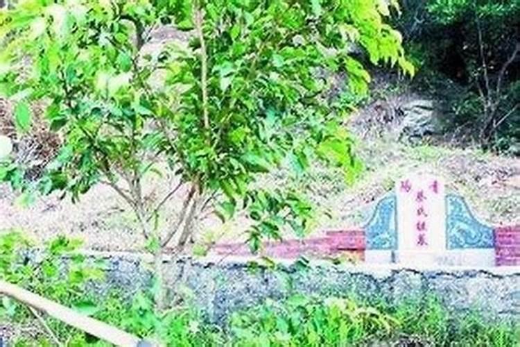 办公室风水布局注意事项 办公室风水布局注意事项有哪些