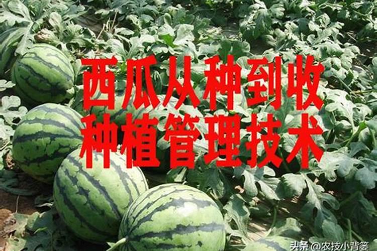 房子装修风水主要看什么,装修风水禁忌