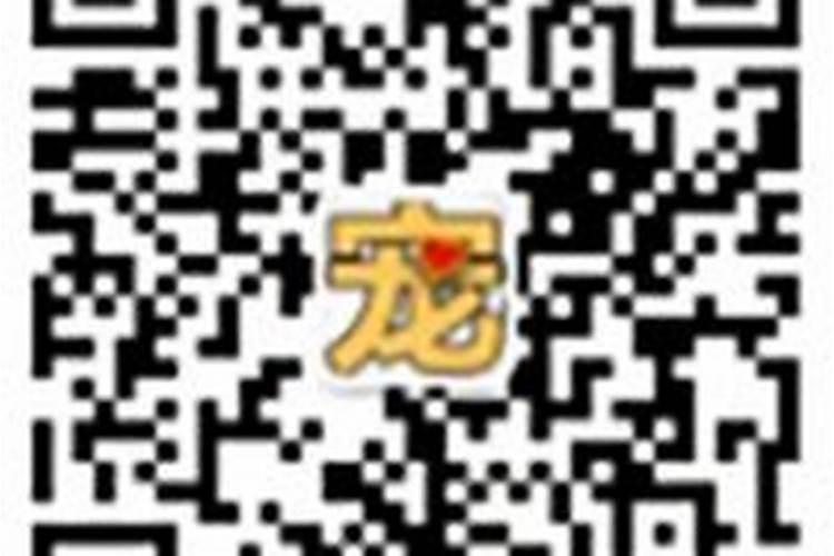 家里养什么动物风水最旺