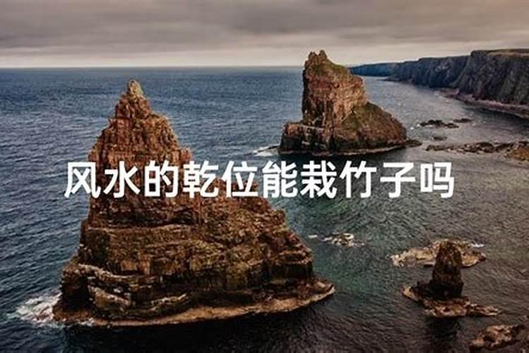 风水大师权朗微博,最新图灵塔罗占卜我为什么和他相遇