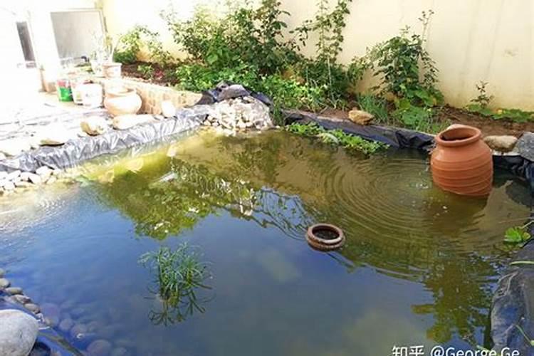房子左边有鱼塘是吉还是凶