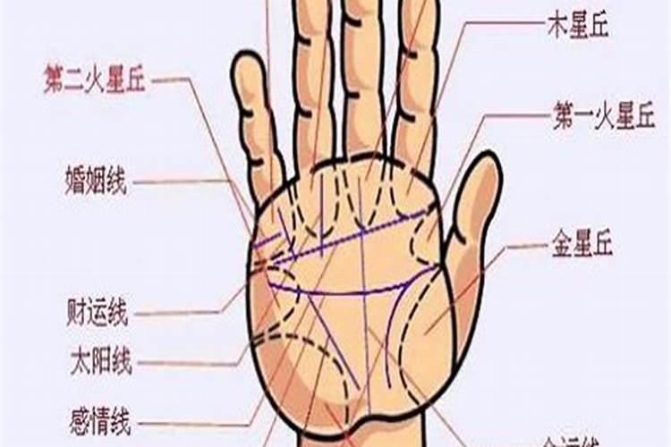 手相算命,可信吗
