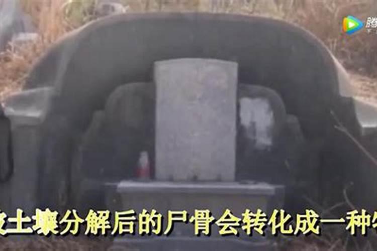 阴宅风水的作用 对子孙后代有多大影响
