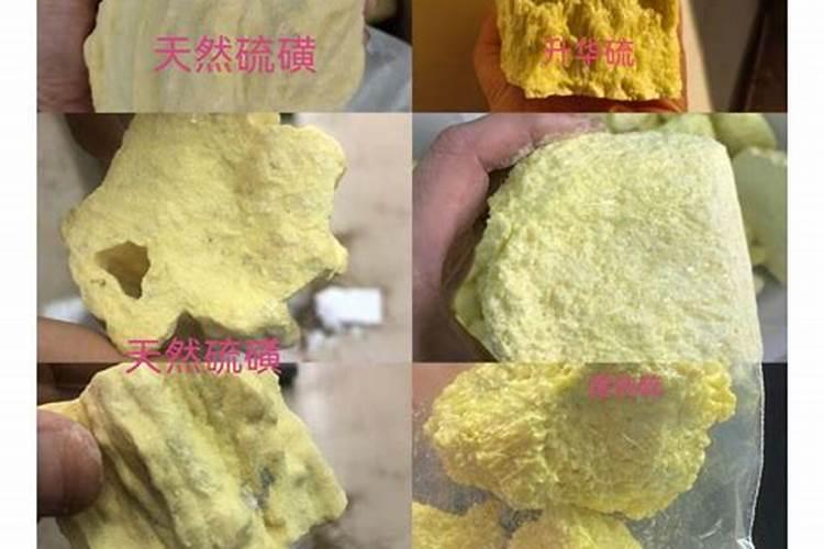 【风水学】天呐,原来家居花木必须这样种,否则会犯大忌。