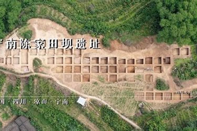 鸡毛飞上天陈金水是个怎样的人