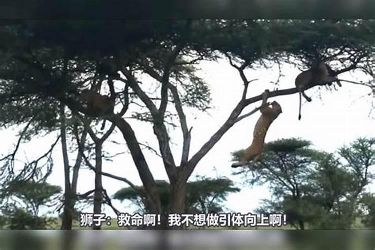 《我们分手吧》取景是在彭水,他们的郁山古镇怎么样