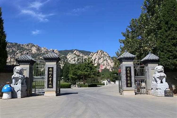 正对大门有坟但中间有隔一条马路和沟庄家地会有什么不好的？