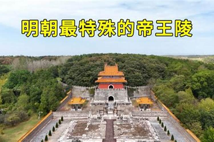 别墅适合栽哪些果树
