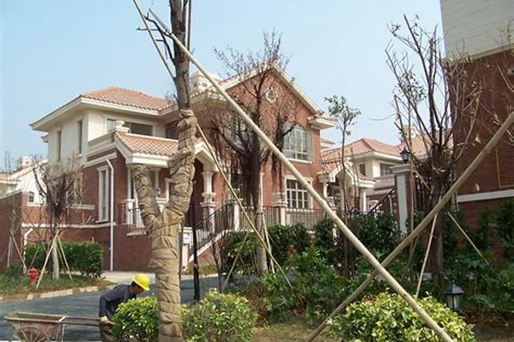剑可以放在办公室自己的背后吗？