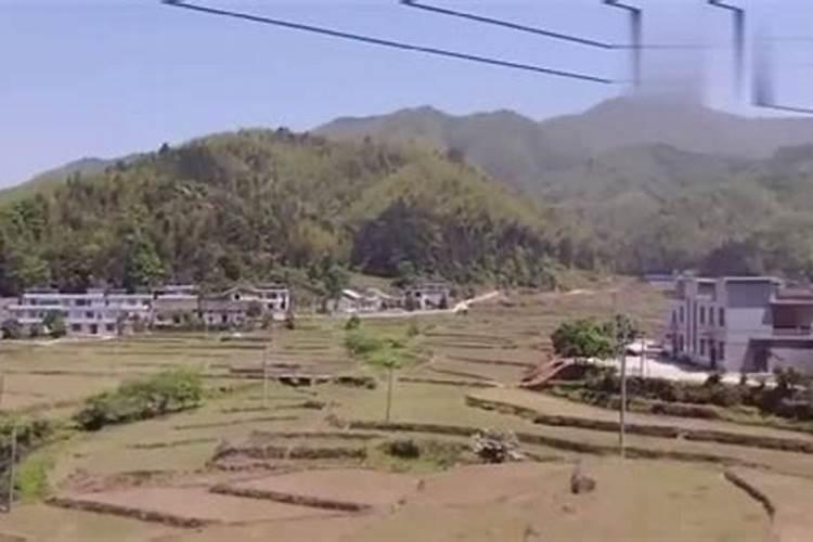 请问林元群风水师是不是帮过赌王何鸿燊种生基