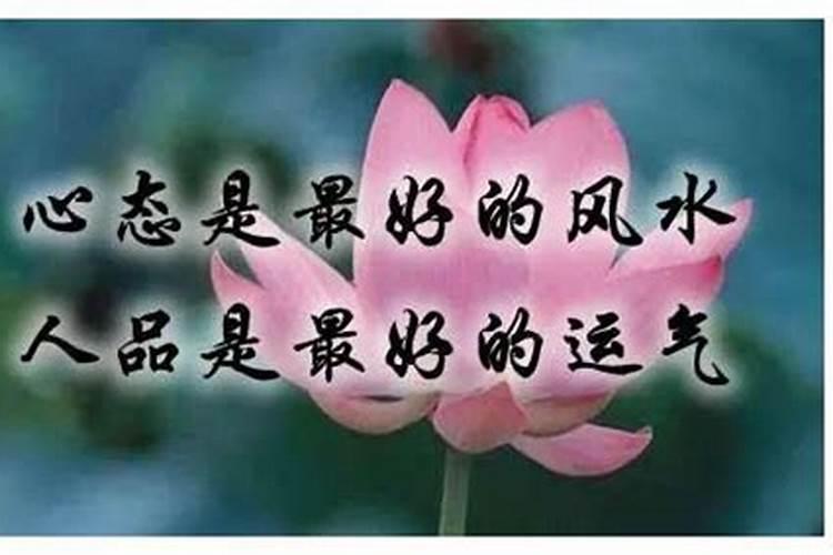 学风水的人有什么后果