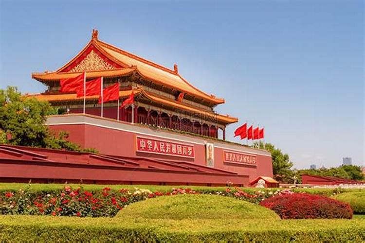 领导办公室适合放什么盆景？