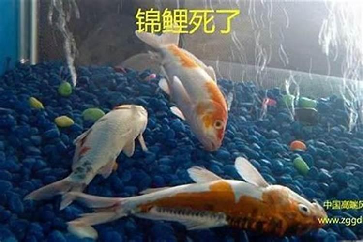风水常识:怎样的风水决定事业成败