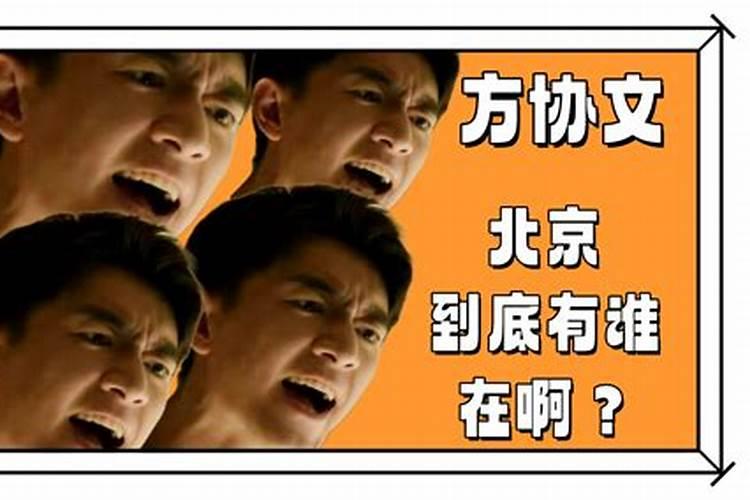 朱辰彬人物简介