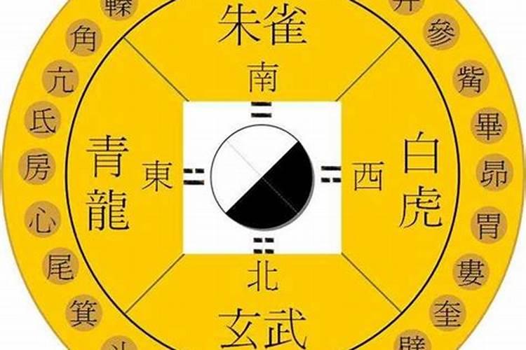 看家里风水先生要来家里看吗,什么年纪适合学风水