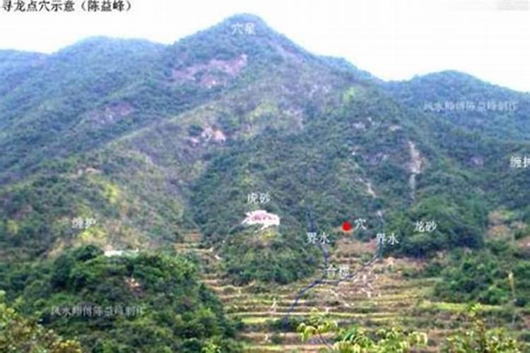 请问楼下邻居在楼顶种桑葚树风水好吗？