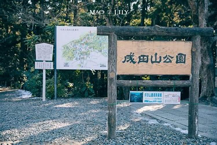 祖坟被破坏该如何化解