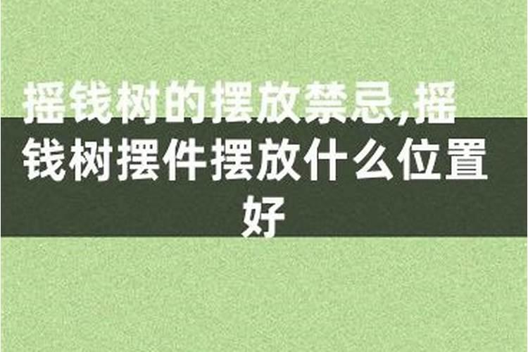 摇钱树的风水寓意和摆放