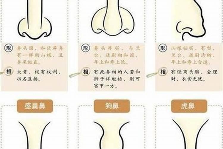 鼻子风水怎么看财运 鼻子风水如何看财运