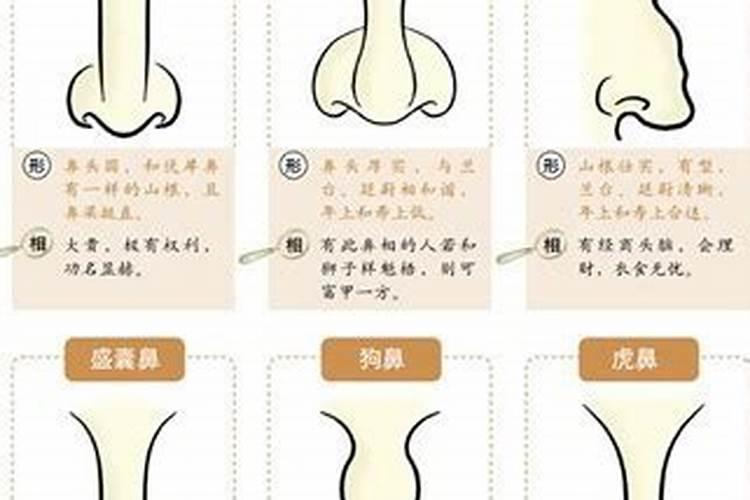 悬胆鼻的特点 是吉相还是凶相