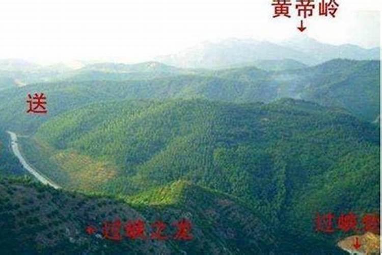 在抚州请一个风水师看一下墓地要多少钱？