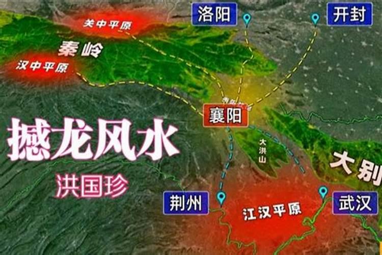 马槽盆适合养什么花
