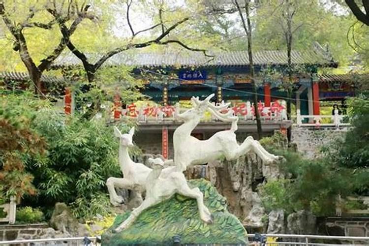 中华族谱集成的册书分类