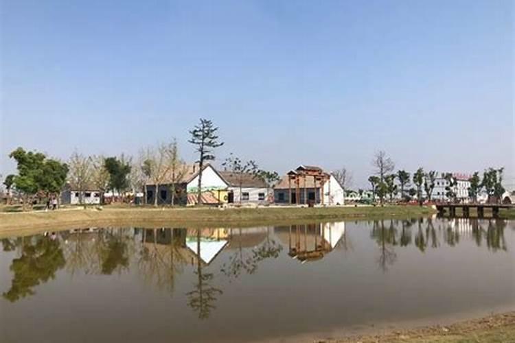 阜宁最好最有名最厉害最出名的风水师是哪位