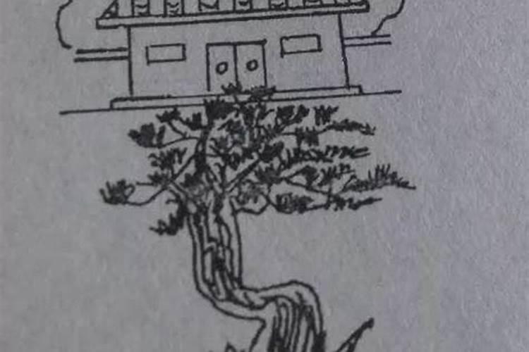 为什么要做风水布局