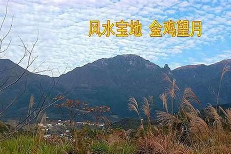 描写景物山,水,花的句子100字左右!本人急需!!!