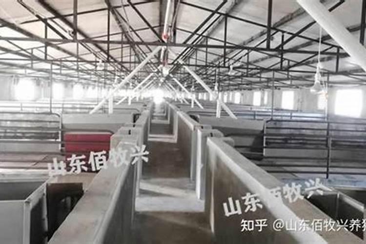 我家大门正对别人家养猪房有5米距离,会不会冲风水。