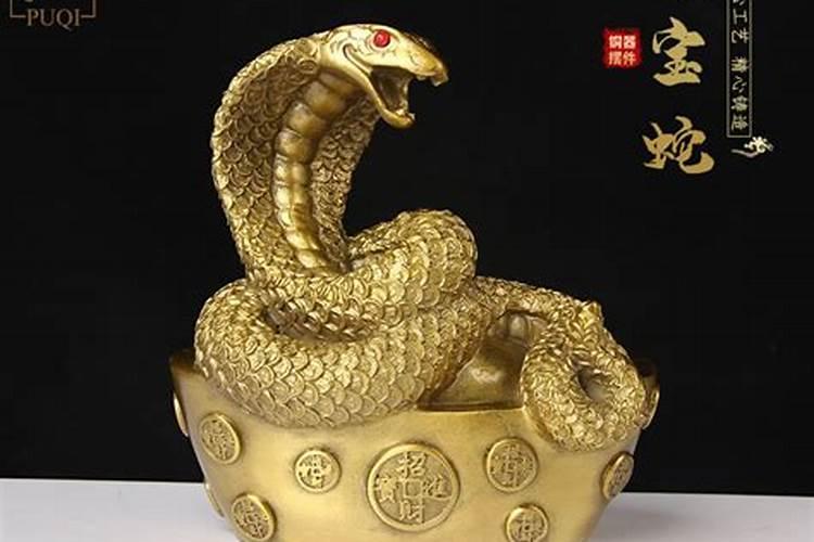 问一下蛇进屋好不好呢,用风水学这些来回答