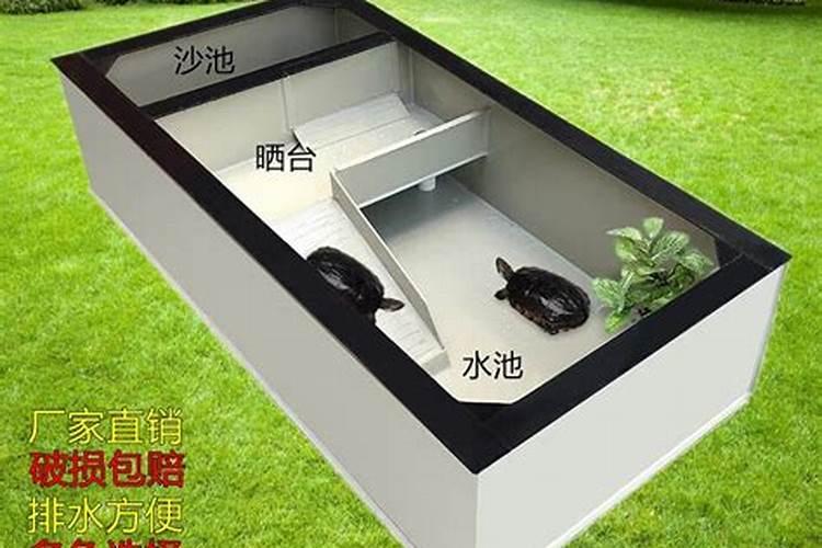 房顶上养乌龟运气好不