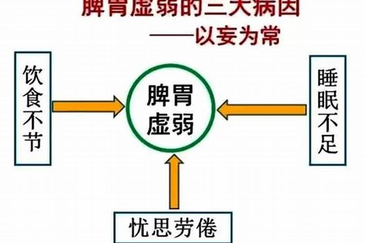 发财树放办公室哪里最旺财 发财树放办公室什么地方最旺财