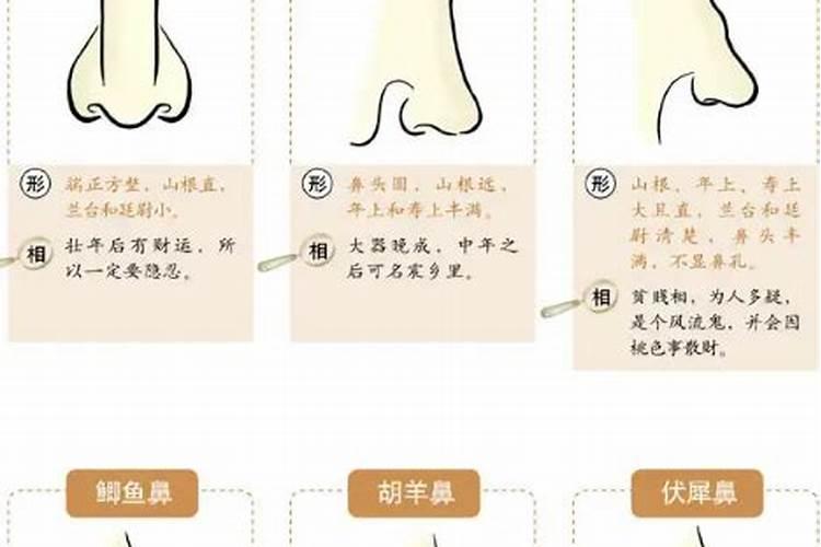 当风水师要具备什麽。