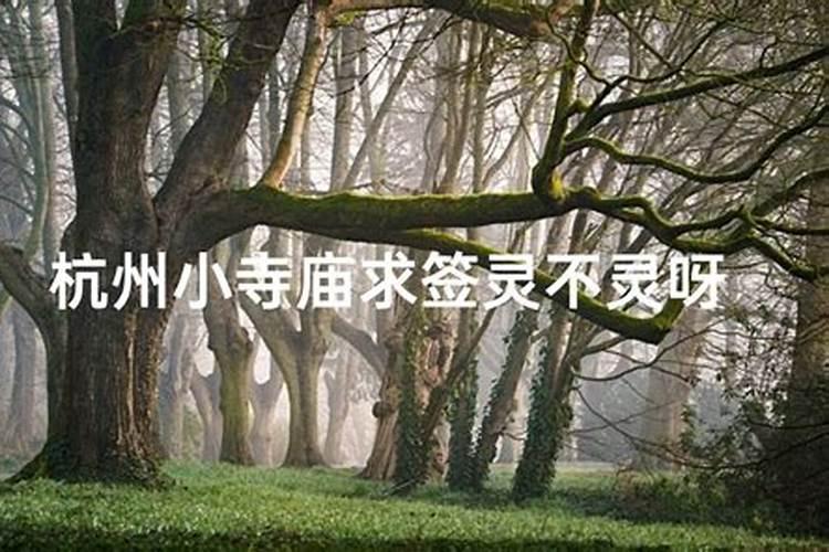 厦门哪些地方风水好