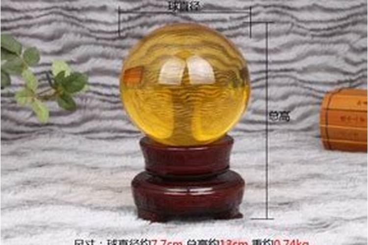 办公楼大门两侧种什么