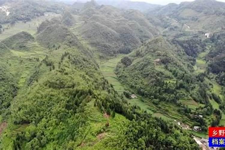 郴州莽山景区如何？