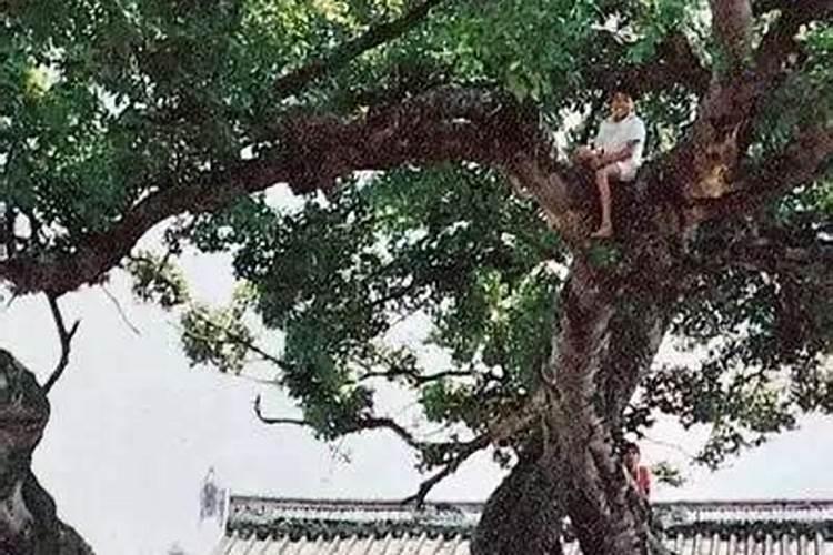 领水是属于哪个市？