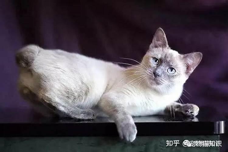 买房买多少层风水最好
