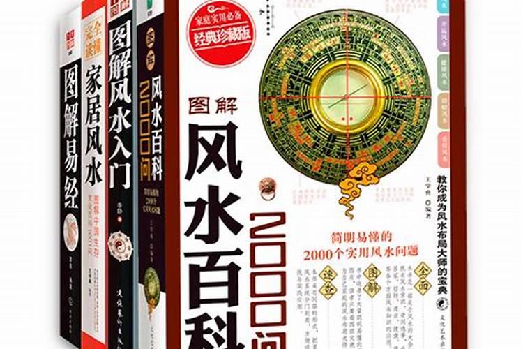 养猫会带来什么运气 有利于风水吗