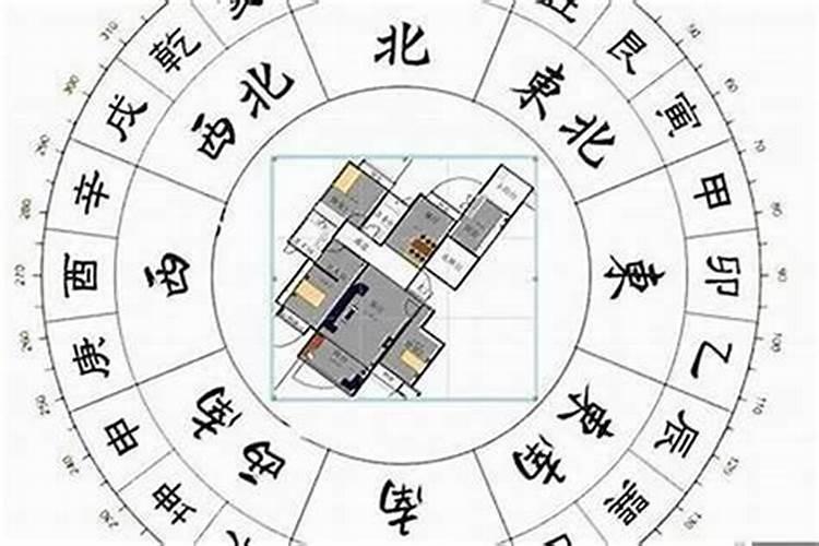 新办公室如何去除甲醛？