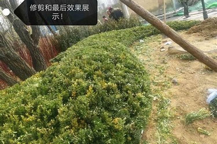 新房子过年有什么讲究