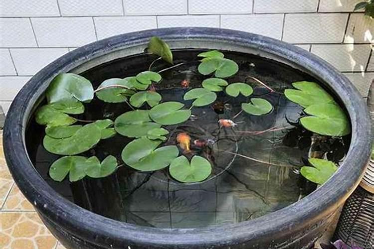 装修鱼缸上下水怎么留？