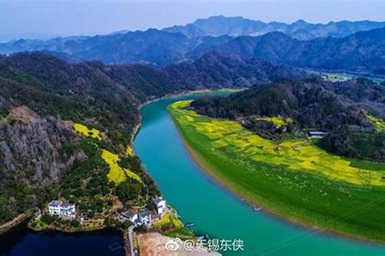 安徽黄山景点屏山玉兰庭景点介绍