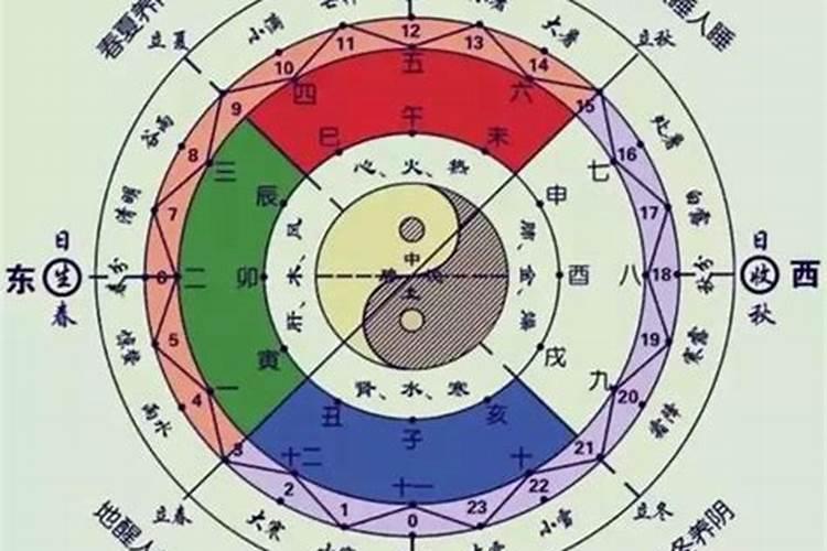 风水什么能增加室内的阳气增加阳气的植物？