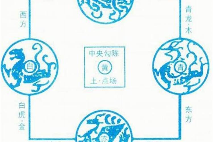 种什么植物才能使阳台风水更好